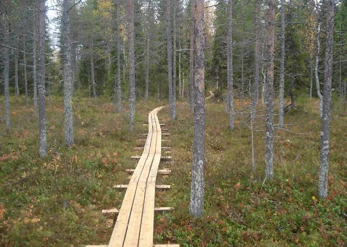 Chalet Hakamajat Syöte