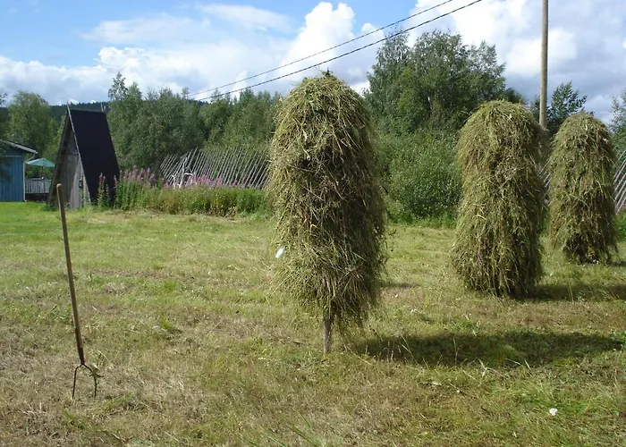 Hakamajat Chalet Syöte