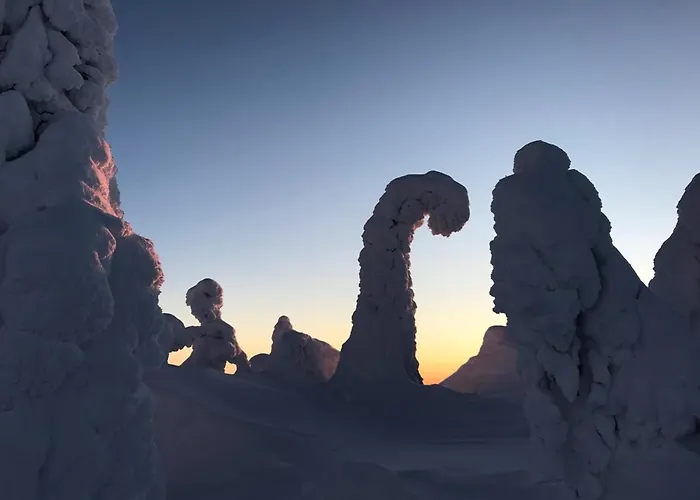 Chalet Hakamajat Syöte